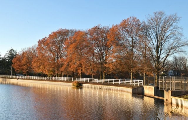 Autumn Trees in the Roosevelt Park, Edison, New Jersey.
