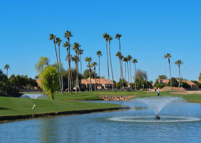 Water fountains and Palm Trees in Maricopa County, Glendale.