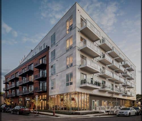 The Arts District Charm