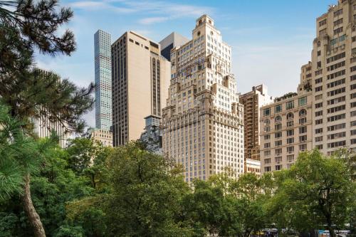 The Ritz Carlton New York