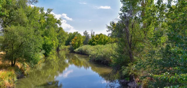 Views of Jordan River Trail with surrounding trees